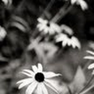 Meet your Posher, Emma margaret